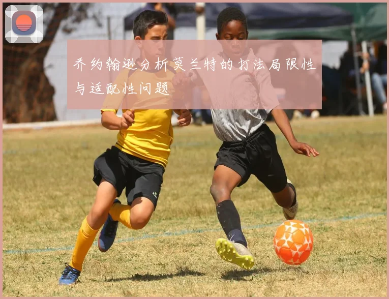 乔约翰逊分析莫兰特的打法局限性与适配性问题