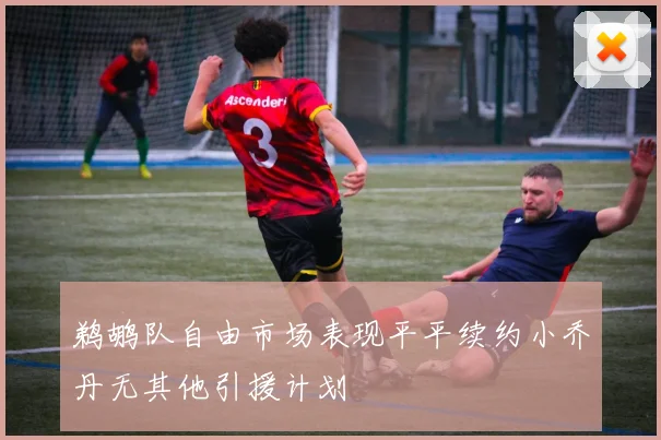 鹈鹕队自由市场表现平平续约小乔丹无其他引援计划